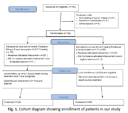 oncologyradiotherapy-Cohort