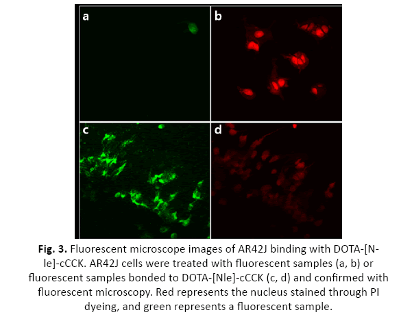 oncologyradiotherapy-fluorescent