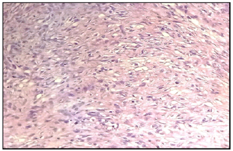 oncologyradiotherapy-microscopy