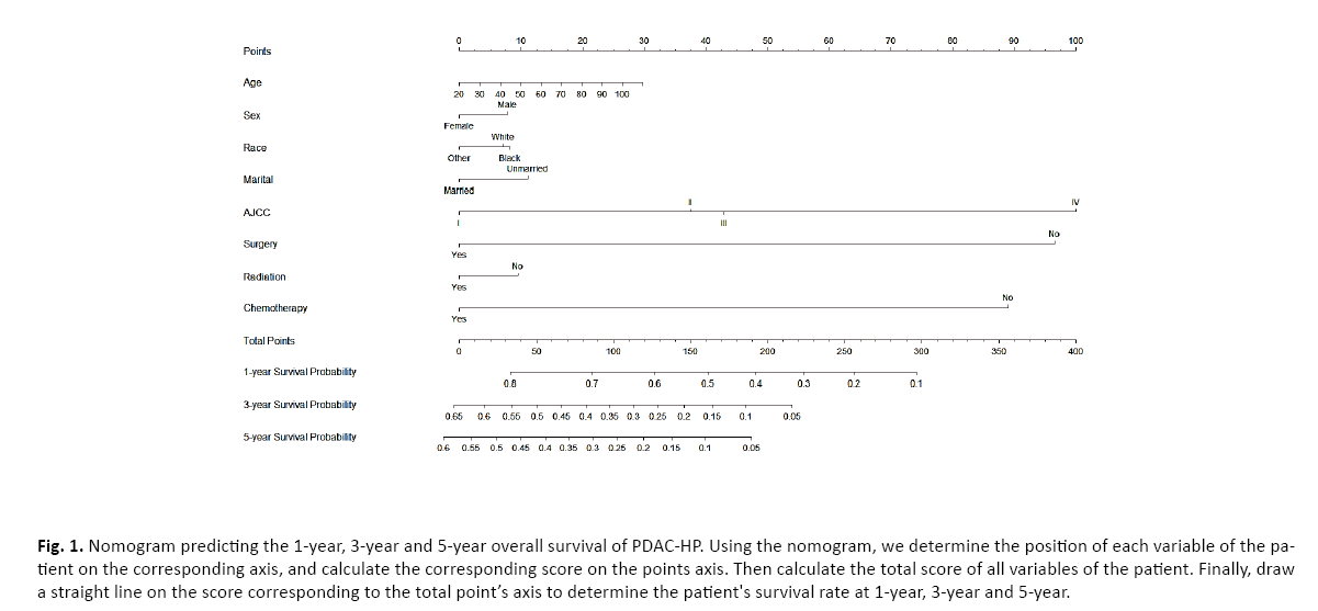 oncologyradiotherapy-nomogram