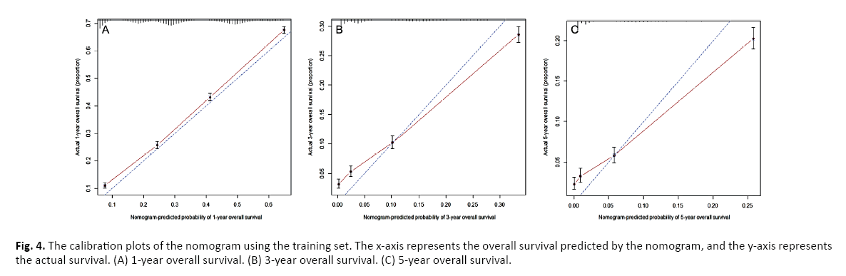 oncologyradiotherapy-survival